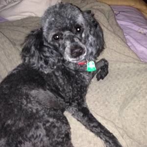 Meet your Posher, Tammy